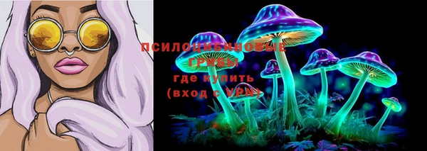 кокс Зерноград