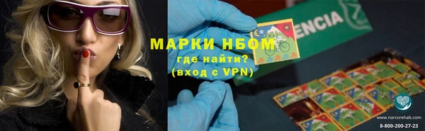 гашик Аркадак