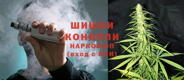 гашик Аркадак