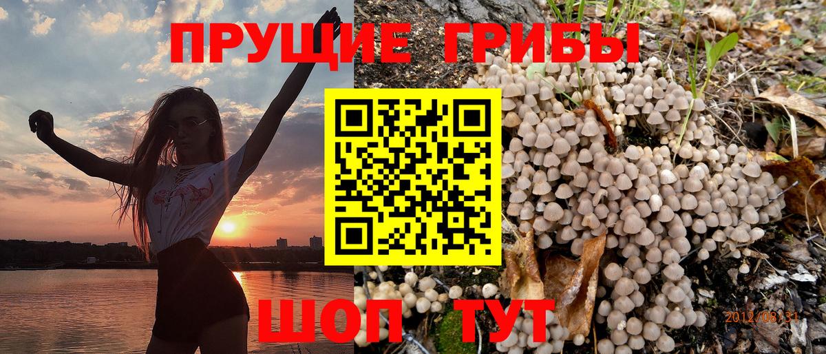 Галлюциногенные грибы Psilocybine cubensis Балашиха